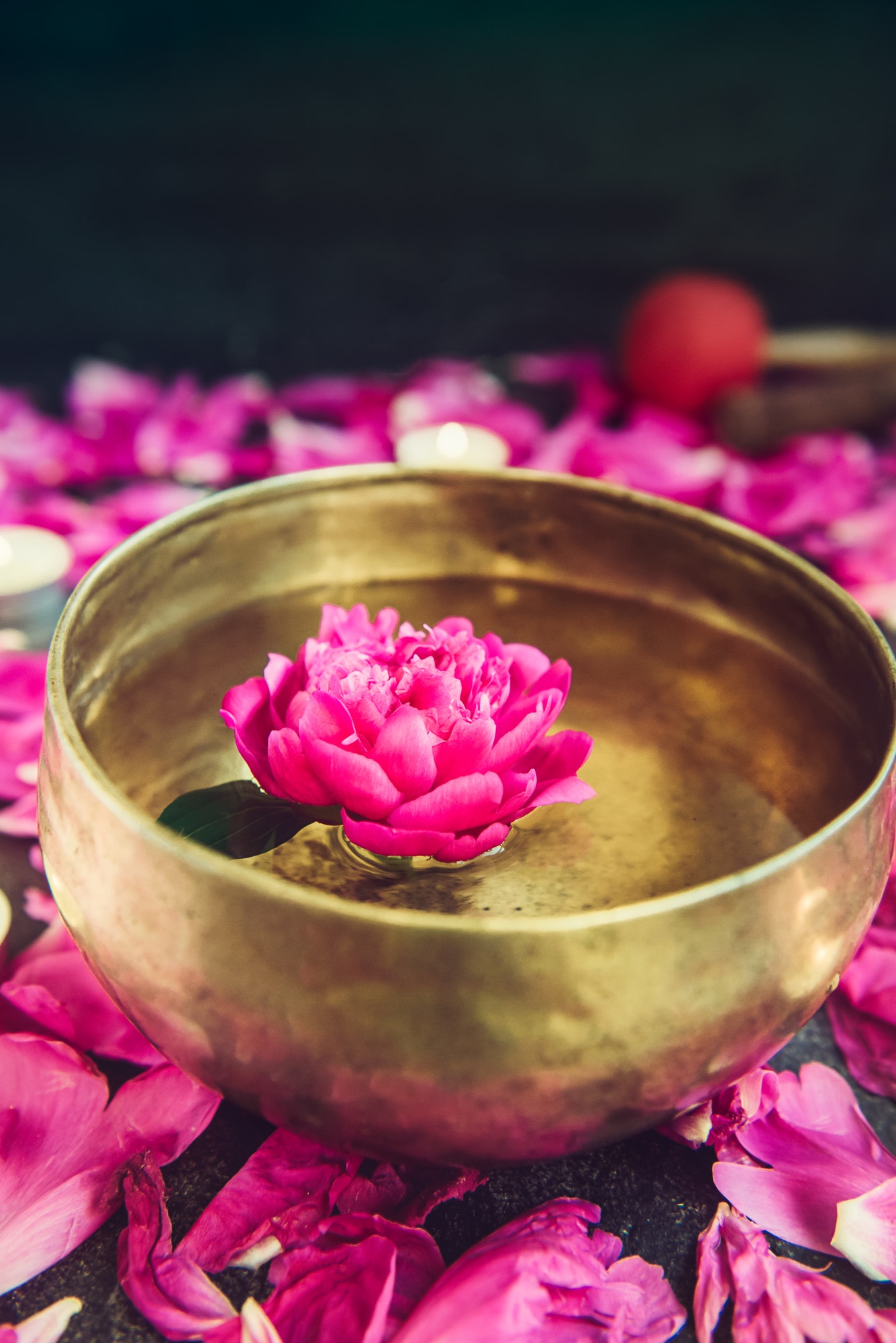 Tibetan singing bowl with floating inside in water purple peony flower. Burning candles, special sti